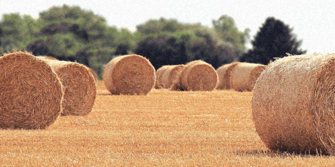 Pourquoi réaliser une isolation en paille ?