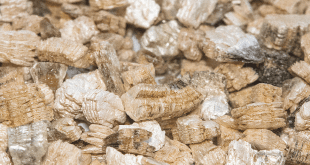Qu'est ce que la perlite et la vermiculite ?