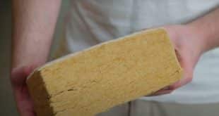 Miscanterra : l’isolant biosourcé qui pourrait changer nos maisons dès 2025