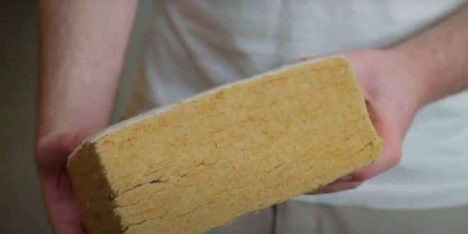 Miscanterra : l’isolant biosourcé qui pourrait changer nos maisons dès 2025