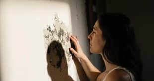 Moisissures dans la maison : causes cachées et solutions efficaces