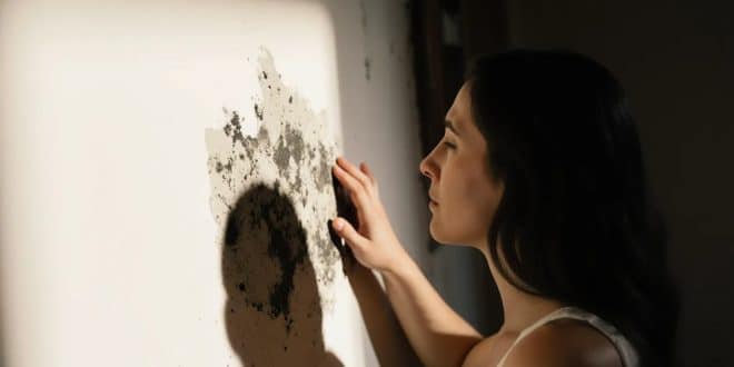 Moisissures dans la maison : causes cachées et solutions efficaces